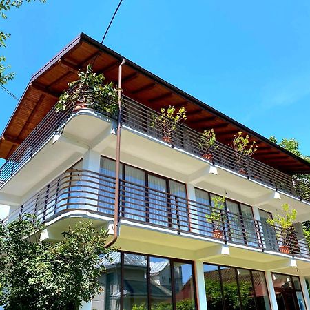 Casa Ionut Hotel Borşa Екстериор снимка