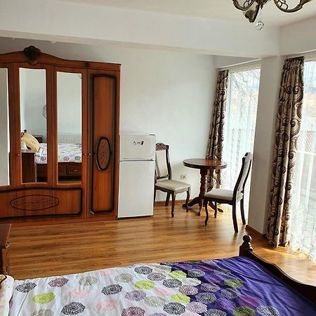 Casa Ionut Hotel Borşa Екстериор снимка