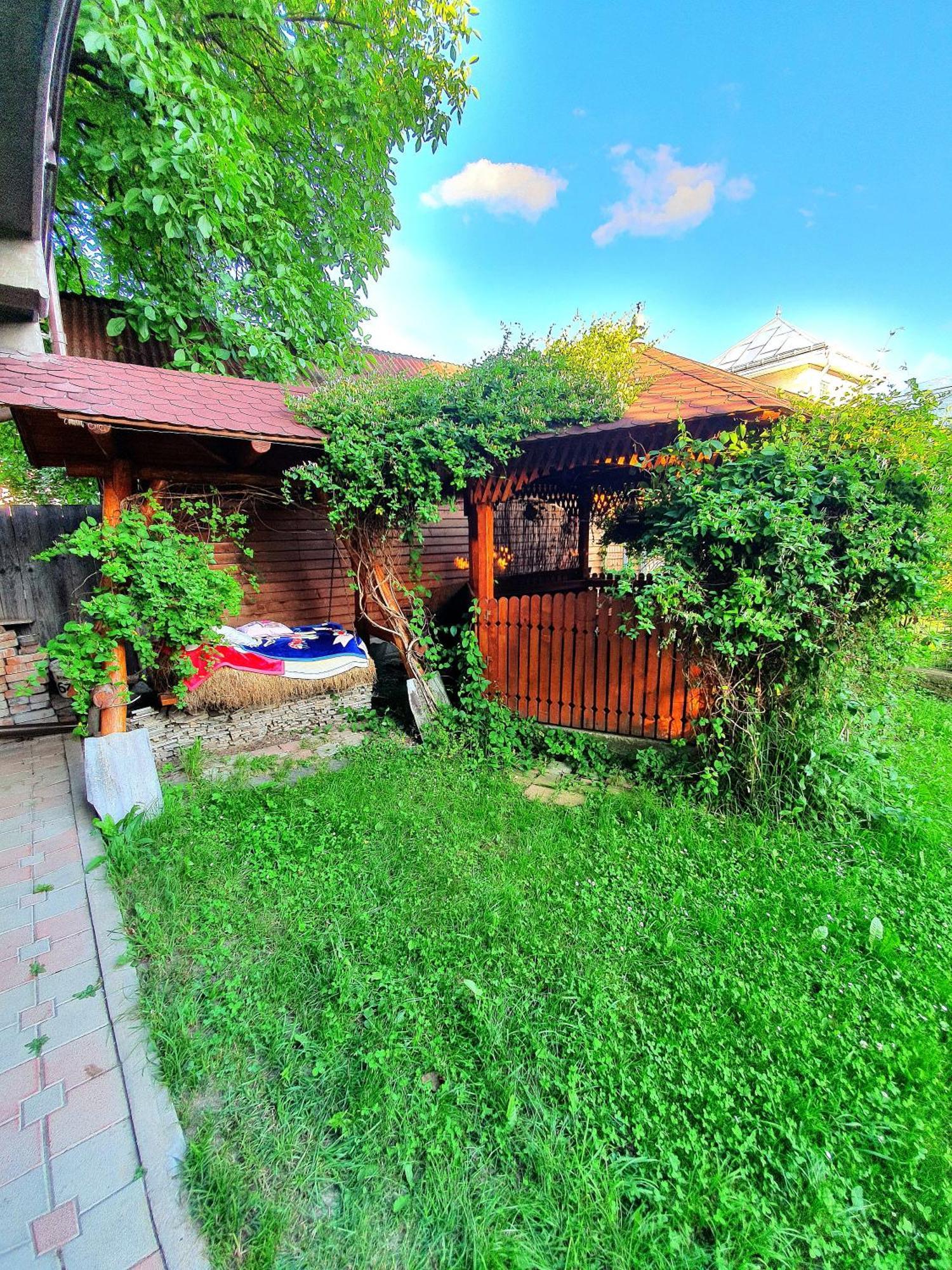 Casa Ionut Hotel Borşa Екстериор снимка