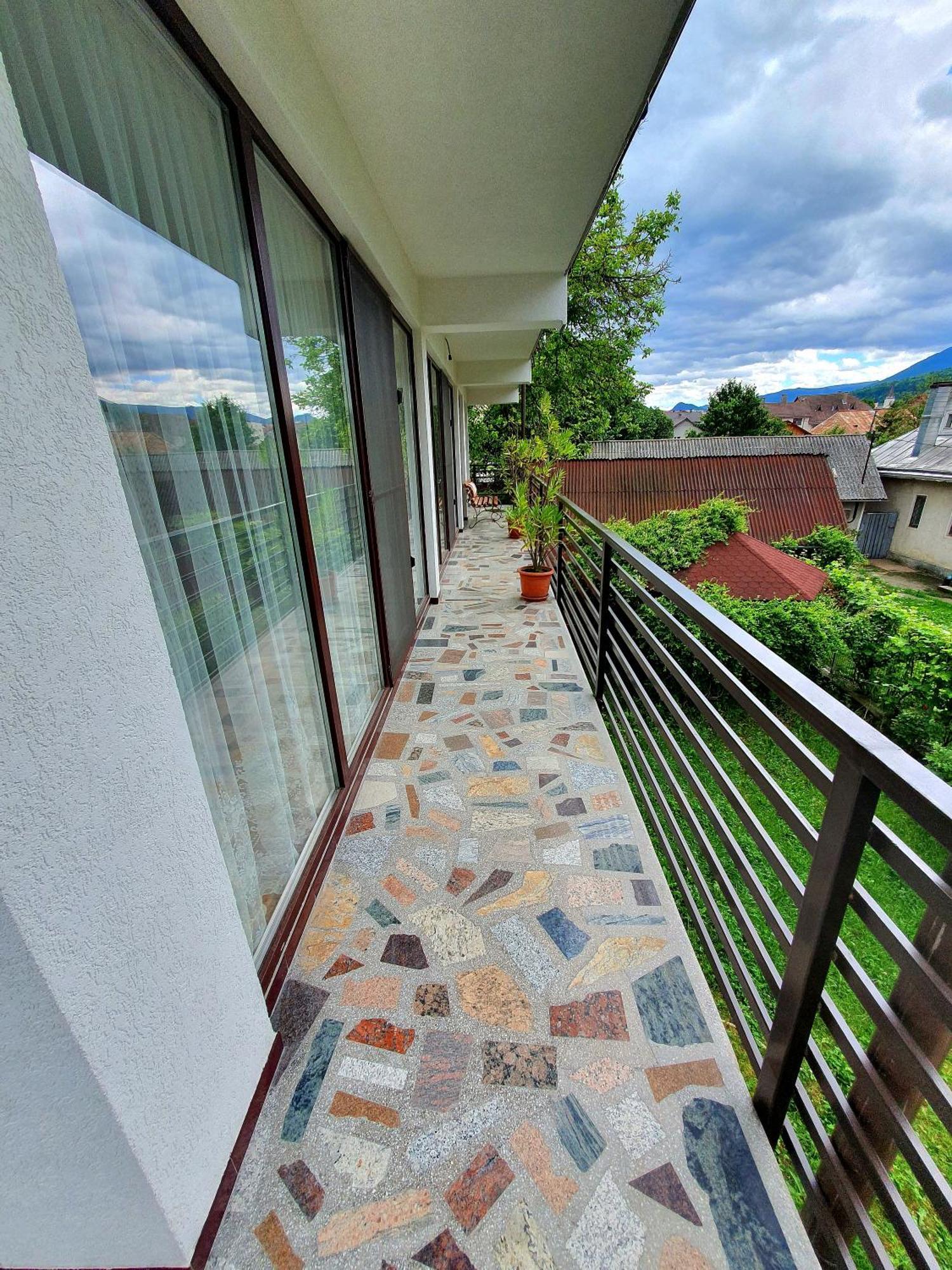 Casa Ionut Hotel Borşa Екстериор снимка